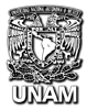 UNAM